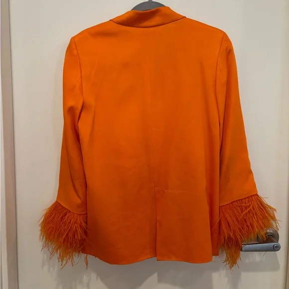 Zara Orange Satin Blazer with Feathers - Picture 4 of 8